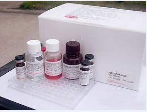 菜豆凝集素(PHA)ELISA检测试剂盒