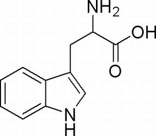 DL-色氨酸，分析标准品,HPLC≥98%