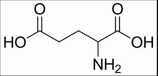 DL-谷氨酸，分析标准品,HPLC≥98%
