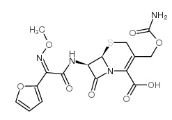 头孢呋辛酸，分析标准品,HPLC≥98%