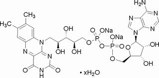 黄素腺嘌呤二核苷酸二钠盐，分析标准品,HPLC≥97%