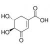 3-脱氢莽草酸，分析标准品,HPLC≥97%
