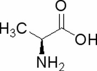 L-丙氨酸，化学对照品(100mg)