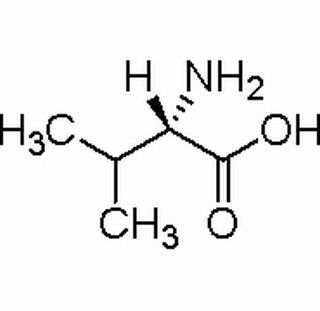 L-缬氨酸，化学对照品(100mg)