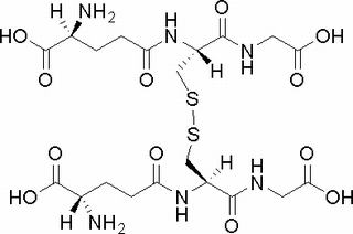 L-氧化型谷胱甘肽，化学对照品(10 mg)
