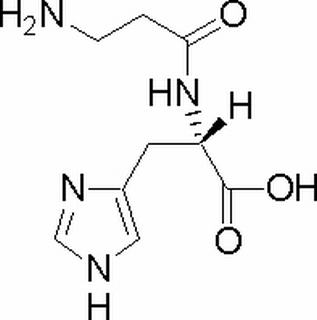 L-肌肽，化学对照品(50mg)