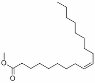 油酸甲酯，化学对照品(1ml)