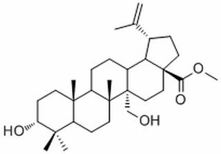 3,27-二羟基-20(29)-流明-28-酸甲酯，分析标准品,HPLC≥98%