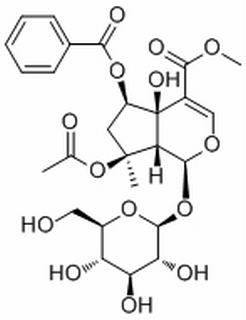 6-O-Benzoylphlorigidoside B，分析标准品,HPLC≥98%