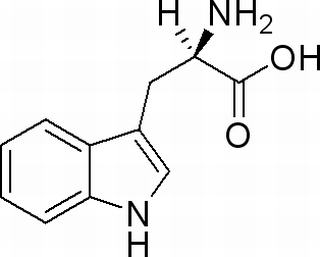 D-色氨酸，分析标准品,HPLC≥99%