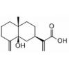 5β-Hydroxycostic acid，分析标准品,HPLC≥98%