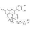 槲皮素 3-O-葡萄糖基 （1→2）鼠李糖苷，分析标准品,HPLC≥98%