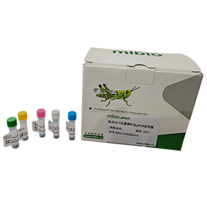脑心肌炎病毒探针法qRT-PCR-试剂盒 (不含内参)主图