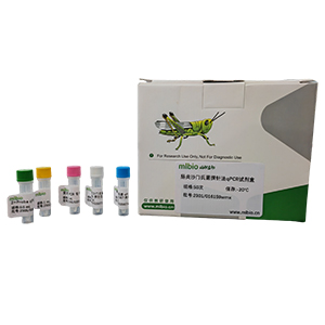 人线粒体DNA（人源性成分）探针法qPCR试剂盒(不含内参)主图