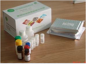 猫白细胞介素4(IL-4)ELISA试剂盒