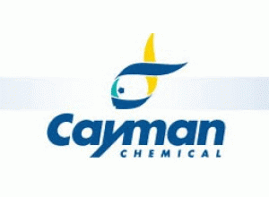 Cayman代理主图