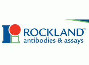 Rockland Inc代理主图