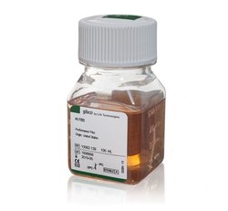 Fetal Bovine Serum, certified, heat inactivated, US origin主图
