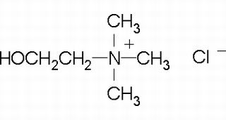 氯化胆碱，化学对照品(50mg)