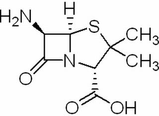 6-氨基青霉素酸，化学对照品(100mg)