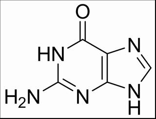 鸟嘌呤，化学对照品(50mg)