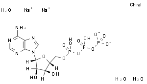 三磷酸腺苷二钠，化学对照品(10mg)