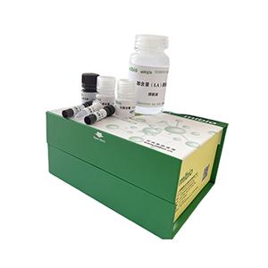 抗性淀粉和非抗性淀粉含量(酶法)试剂盒分光法/48样