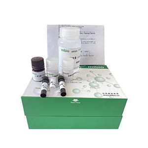 磷脂酸磷酸酯酶(PPase)活性测定试剂盒分光法/48样