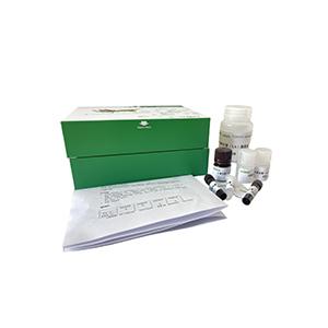 肌酐(Cr)含量试剂盒(肌氨酸氧化酶法)分光法/48样