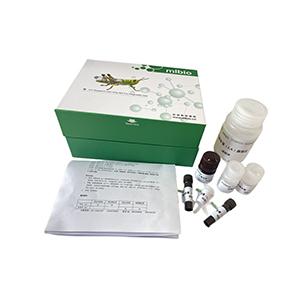 尿微量白蛋白(MALB)含量测定试剂盒(免疫比浊法)微板法/96样