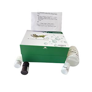 磷脂(PLIP)(氧化酶法)含量检测试剂盒微板法/96样