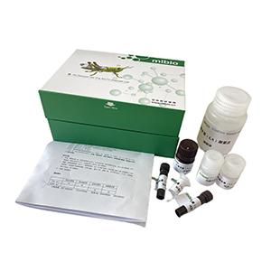 免疫球蛋白IgM测定试剂盒(免疫比浊法)微板法/96样