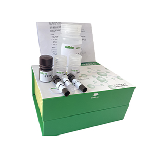 天冬酰胺酶(ASNase/asparaginase)活性测定试剂盒微板法/96样主图