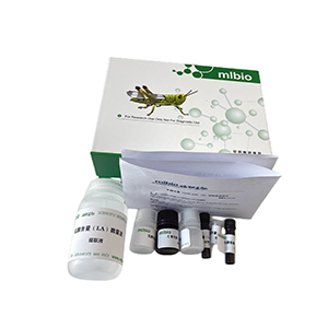 甘露糖-6-磷酸(D-Mannose-6-phosphate，M6P)含量测定试剂盒微板法/96样主图