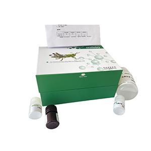 谷氨酰胺(Gln)含量检测试剂盒(微量法)