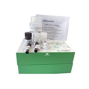 蛋白质二硫键含量检测试剂盒(微量法)