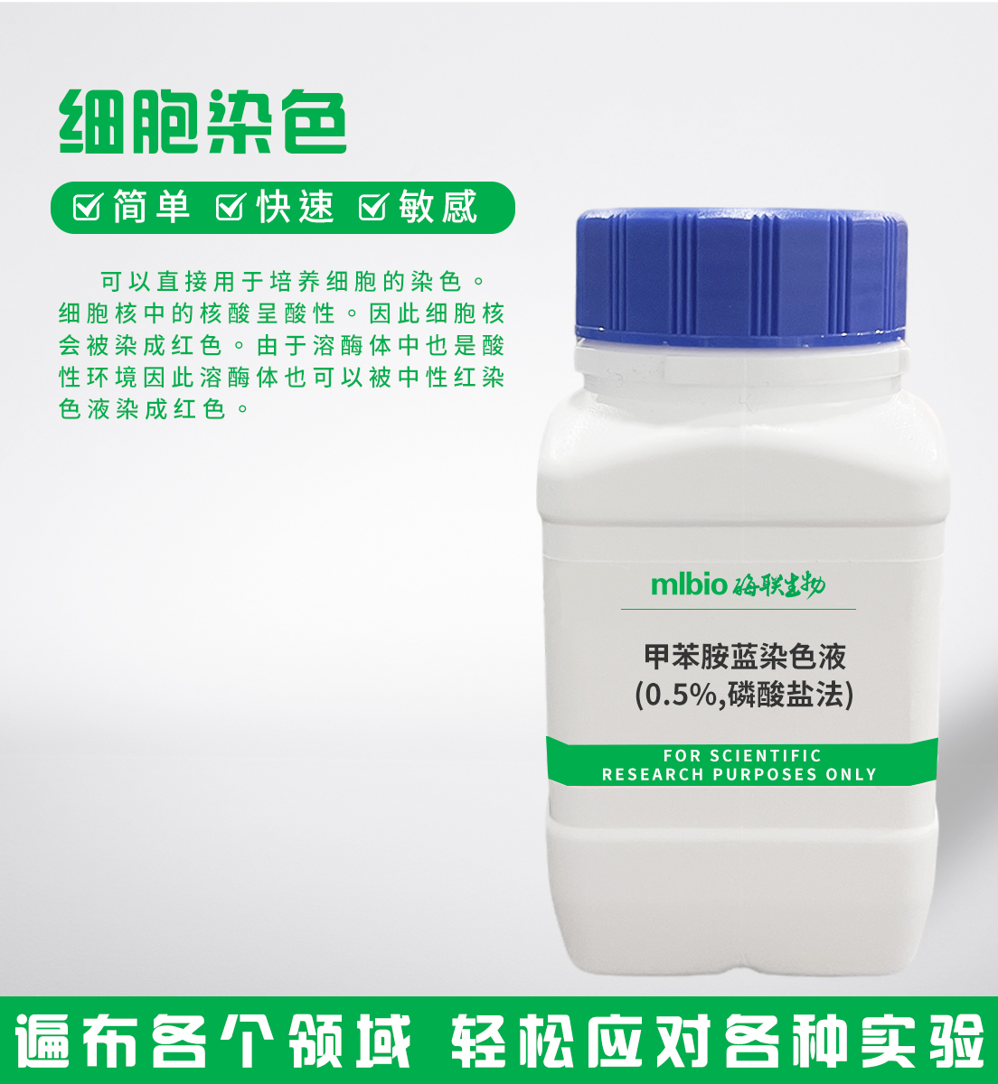 甲苯胺蓝染色液(0.5%,磷酸盐法)主图