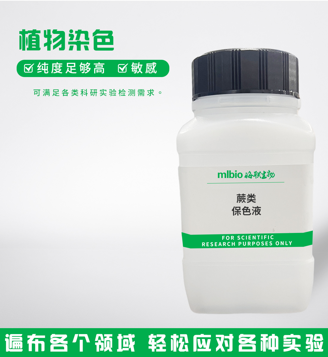 蕨类保色液主图
