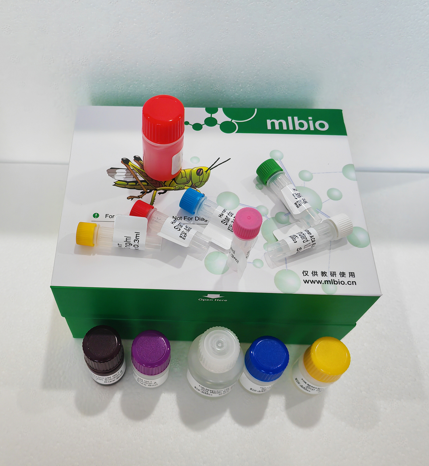 多粘菌素B(PMB)ELISA试剂盒主图