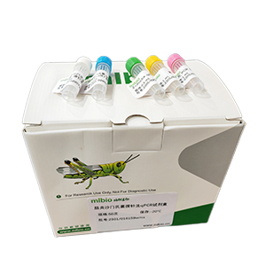水泡性口炎病毒印第安纳型探针法qRT-PCR试剂盒(不含内参)主图