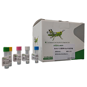 肉毒梭状芽孢杆菌肉毒毒素基因btxE型探针法qPCR试剂盒(不含内参)主图