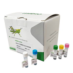马铃薯纺锤块茎类病毒探针法qRT-PCR试剂盒(不含内参)主图