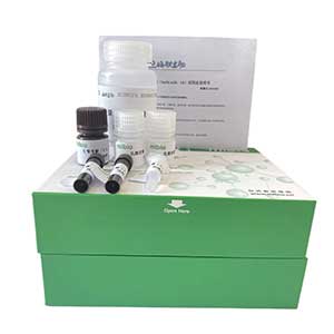 溶菌酶(LZM)活性试剂盒96样主图