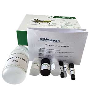 细胞亚铁含量试剂盒48样主图