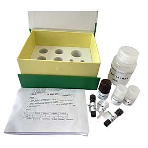 溶菌酶(LZM)活性试剂盒48样主图