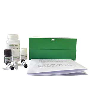 乳酸氧化酶(LOD)活性测定试剂/分光法主图