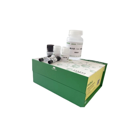 肌酐含量(肌氨酸氧化酶法)试剂盒48样主图