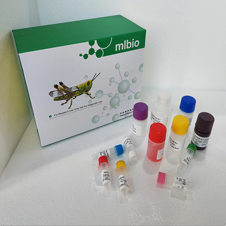 人肌球蛋白重链9(myh9)ELISA试剂盒