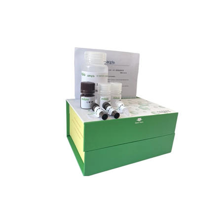 肌酸含量检测试剂盒微量法(酶法)