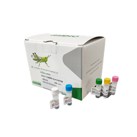 PCR检测试剂盒